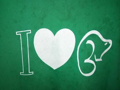 Beaver's Heating and Air Conditioning