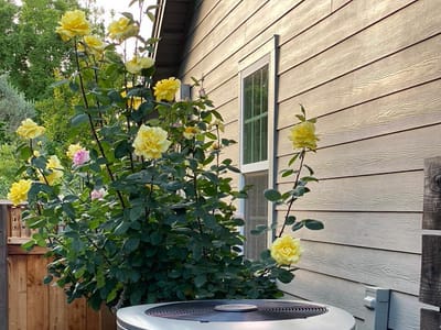 Bellows Plumbing, Heating, Cooling & Electrical