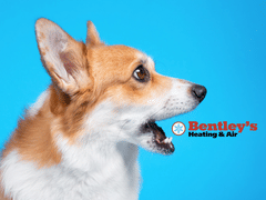 Bentley's Heating & Air
