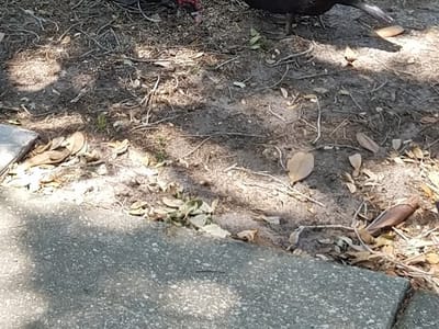 Best Heating & Air Conditioning