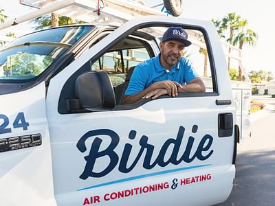 Birdie A/C and Heating