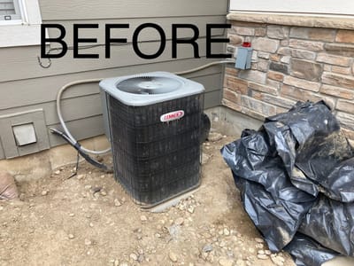 Black Label Mechanical