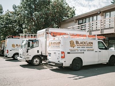 Black Lion Heating & Air Conditioning