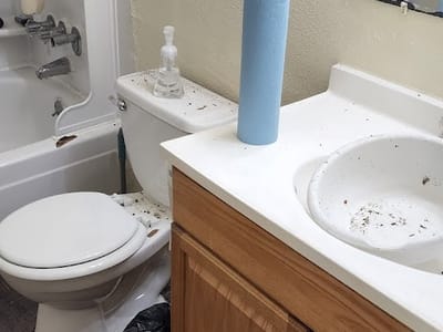 Black Plumbing-Abilene