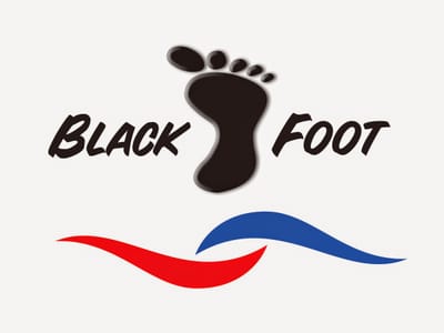 Blackfoot Heating & Air