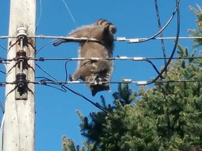 Bladt's Heating & Air Conditioning