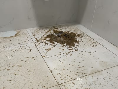 Blaylock Heating & Air Conditioning, Plumbing and Draincleaning