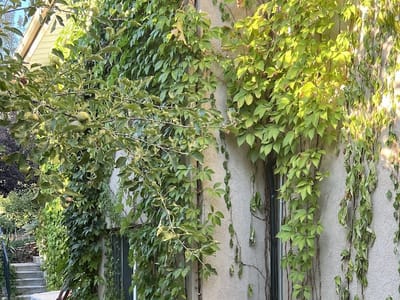 Blue Best Heating & Air