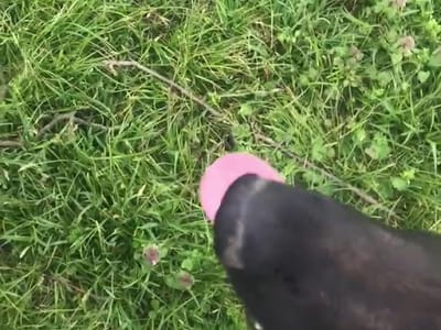 Blue Hill Heat and Air