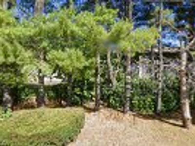 Blue Moon Heating & Air Conditioning, Inc.