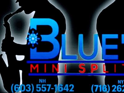 Blue's Mini Splits LLC