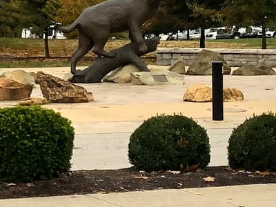 Bluegrass Rooter Plumbing Heat & Air