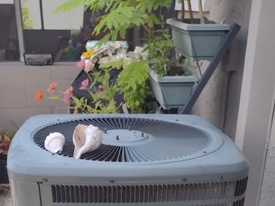 Blume AC Service Heating & Air Conditioning