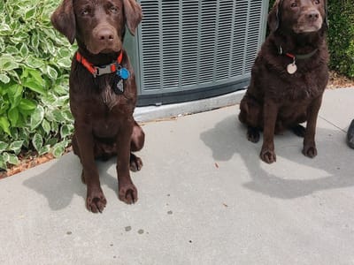 BNR Heating and Air Conditioning