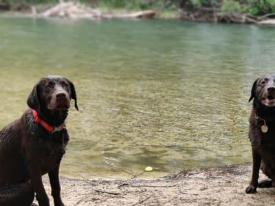 BNR Heating and Air Conditioning