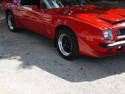 Bohall's Total Comfort