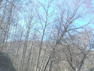 Botetourt Mechanical Inc