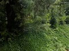 Bothell Furnace & Air Conditioning Repair