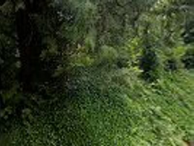 Bothell Furnace & Air Conditioning Repair