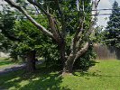 Boyle's Air Conditioning & Heating