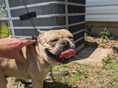 Brian's Heat and Air