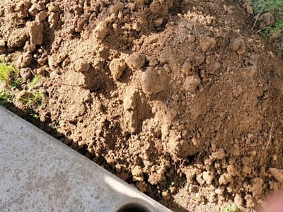 Broad Ripple Service Experts