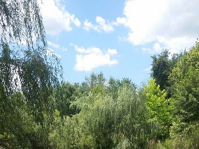 Brokaw Heating & Air Conditioning