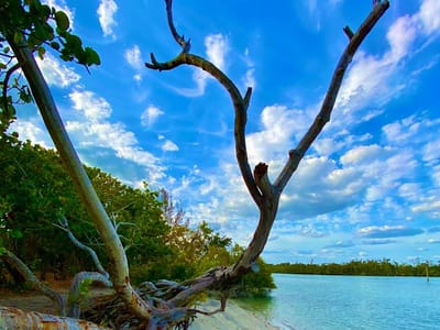 Brown Heating, Cooling and Plumbing