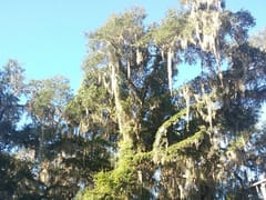 Browning Heating and Air Conditioning