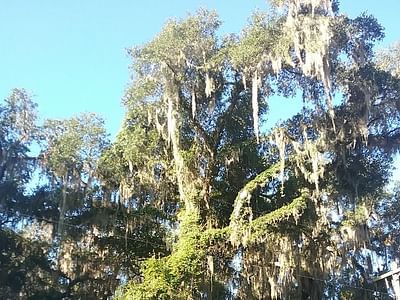 Browning Heating and Air Conditioning