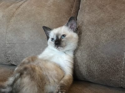 Bryan Refrigeration and Air Conditioning