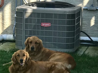 Bryant Heating & Cooling