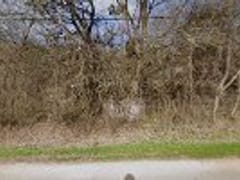 Bud's Appliance & Refrigeration Services