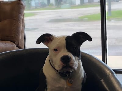 Butler County Heating & Air Conditioning