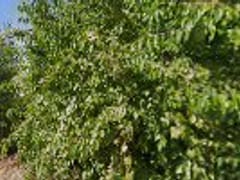 Butler M-K Heating & Cooling