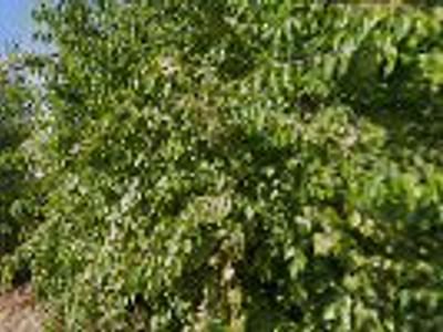 Butler M-K Heating & Cooling