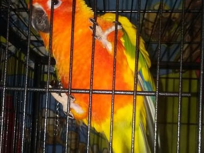 BWServices heating & cooling llc