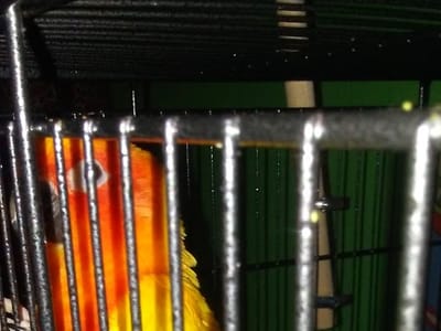 BWServices heating & cooling llc