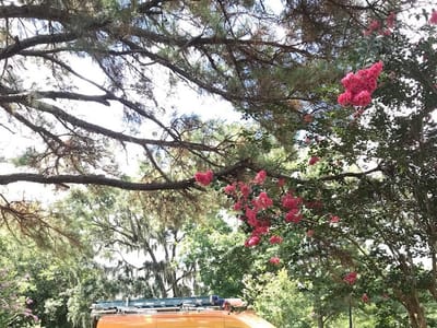 C&C Myers Heating, A/C, Plumbing & Drains