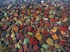 California Cool Breeze