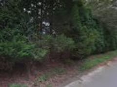 Camaras Plumbing Heating