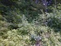 Campbell's Heating & Cooling