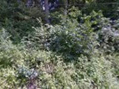 Campbell's Heating & Cooling