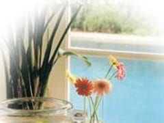 Capital City Air, Inc