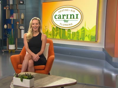 Carini Home Services