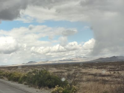 Carrier Commercial Services