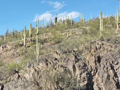 Carrier Commercial Services