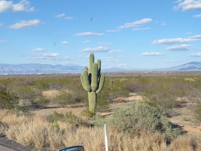 Carrier Commercial Services