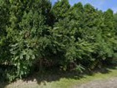 Casale Plumbing, Heating & Air