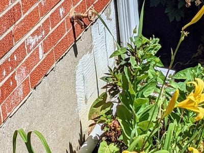 Cecil's Heating & Air Conditioning Inc.